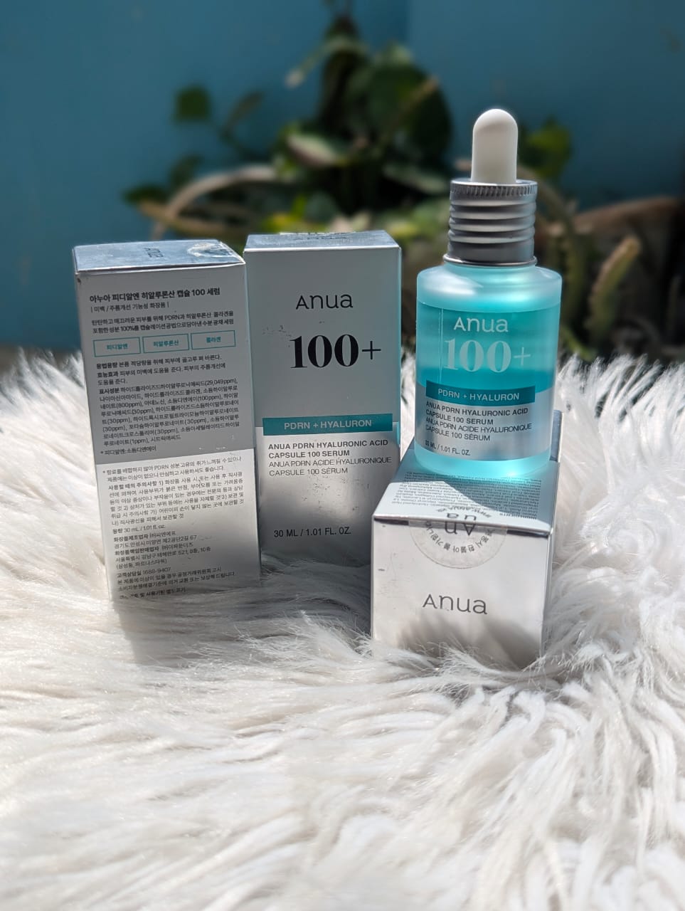 Anua - PDRN Hyaluronic Capsule 100+ Serum